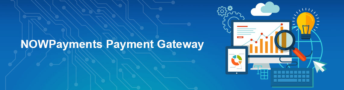 NOWPayments Payment Gateway